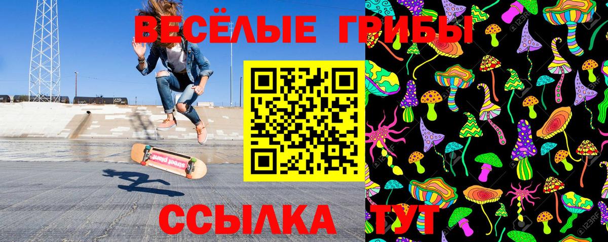 Галлюциногенные грибы Psilocybine cubensis Коммунар