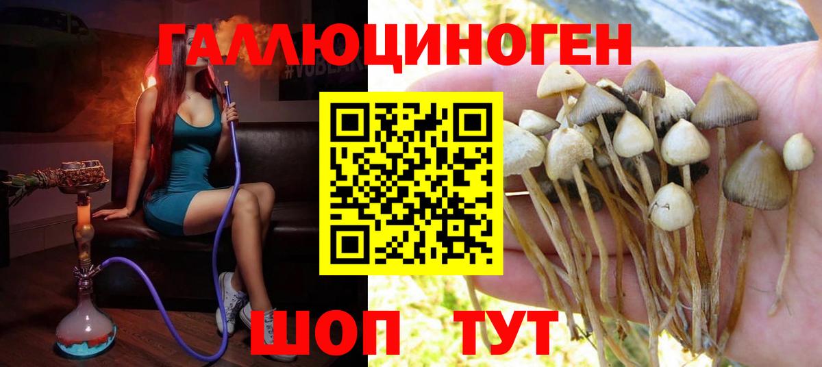 Галлюциногенные грибы Magic Shrooms  Галлюциногенные грибы мицелий  Коммунар  что такое наркотик  Вход с VPN 